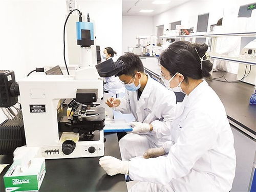 保定高新区技术创业服务中心累计培育高新技术企业225家，信息技术咨询服务引领创新