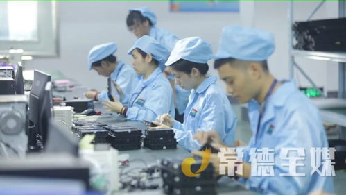 桃源培优“两主两特”产业，以信息技术咨询服务助力挺进全省十强县