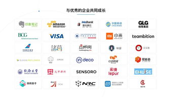 信息技术咨询服务市场分析 看准网视角下的行业生态